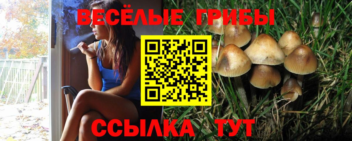 Галлюциногенные грибы Cubensis  Вход с VPN  Серов  Галлюциногенные грибы мицелий 